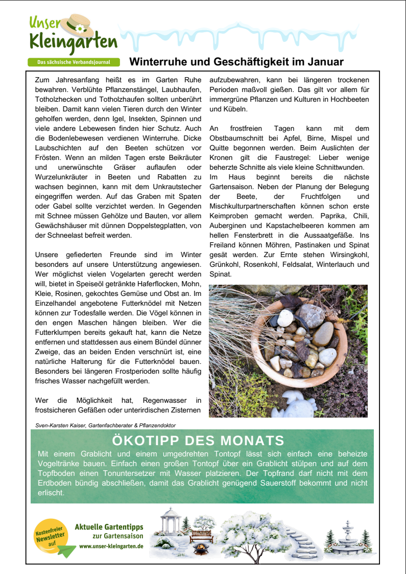 Newsletter Januar