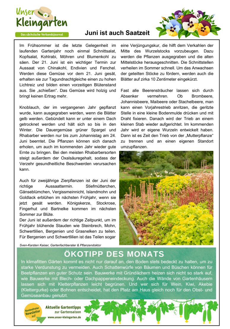 Newsletter Juni